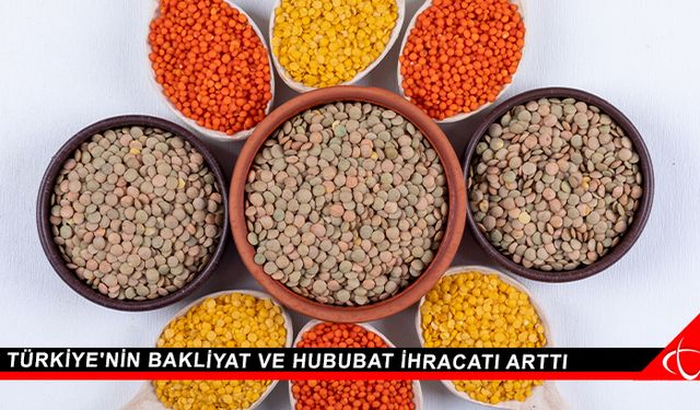 Türkiye'nin bakliyat ve hububat ihracatı arttı