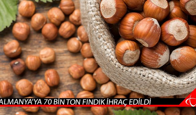 Almanya'ya 70 bin ton fındık ihraç edildi