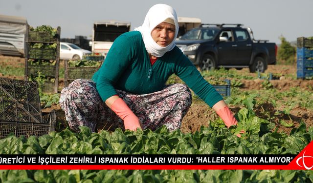 Üretici ve işçileri zehirli ıspanak iddiaları vurdu: 'Haller ıspanak almıyor'