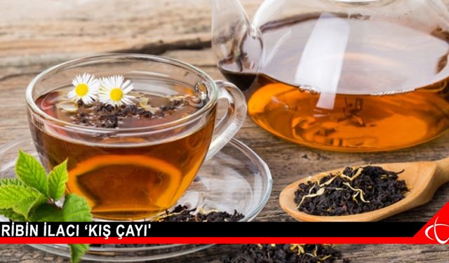 Gribin ilacı ‘kış çayı'