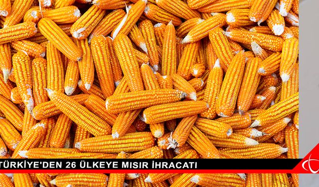 Türkiye'den 26 Ülkeye Mısır İhracatı