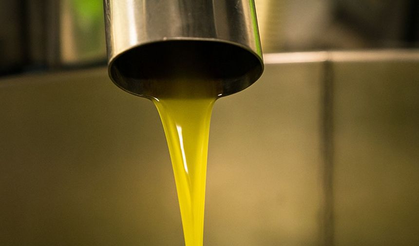 Ucuz zeytinyağlarına dikkat edin!