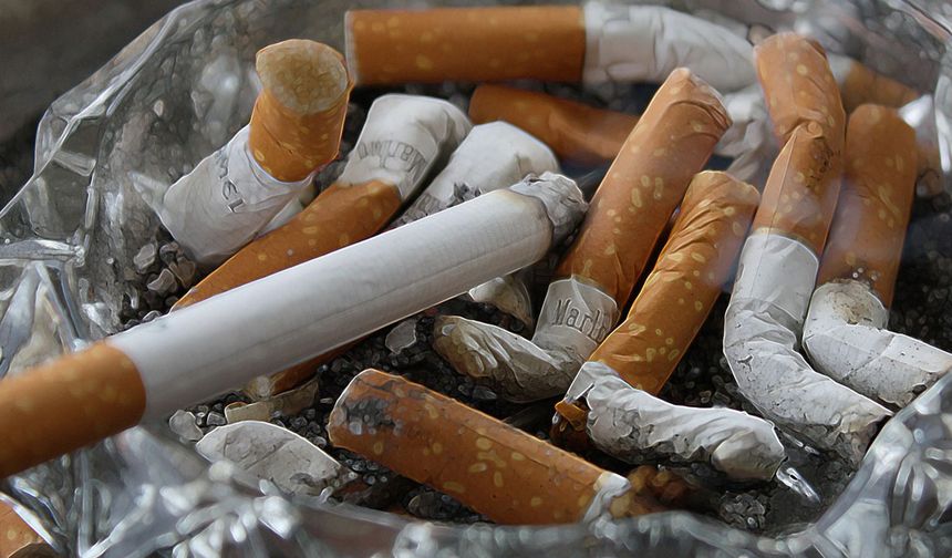Dünya'nın en çok sigara içen ülkesi Türkiye