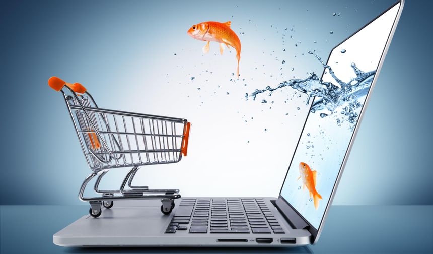 E-ticaret Nedir?