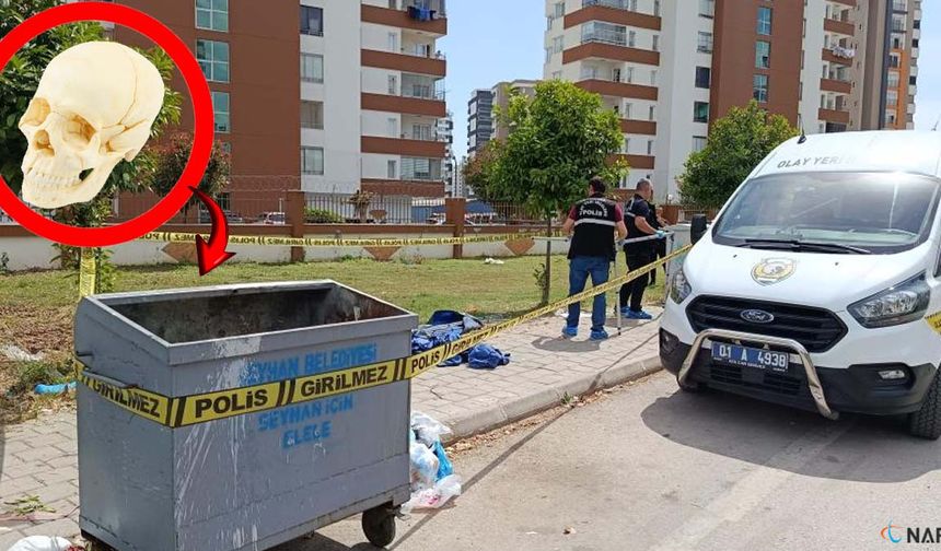 Çöpte bulunan kafatasının sırrı çözüldü!