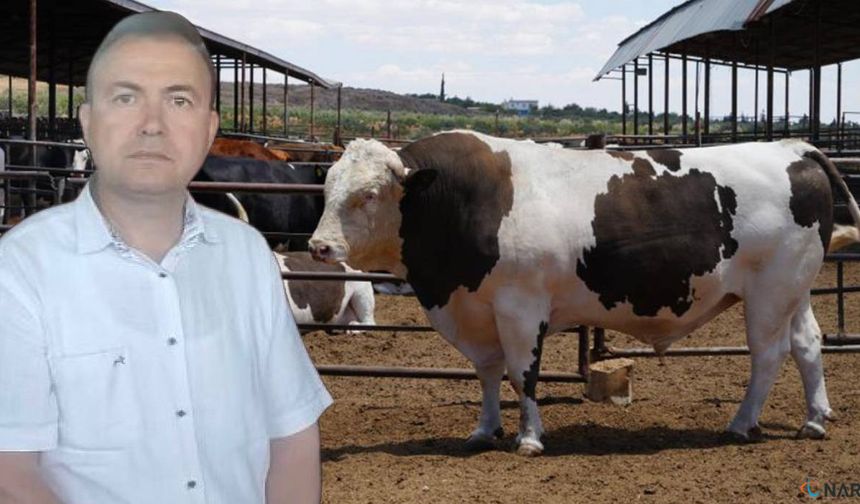 Dananın fotoğrafını çekerken canından oldu.