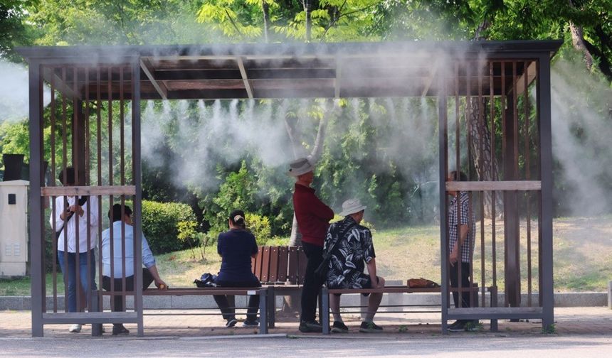 Güney Kore'de aşırı sıcaklardan 7 kişi hayatını kaybetti.