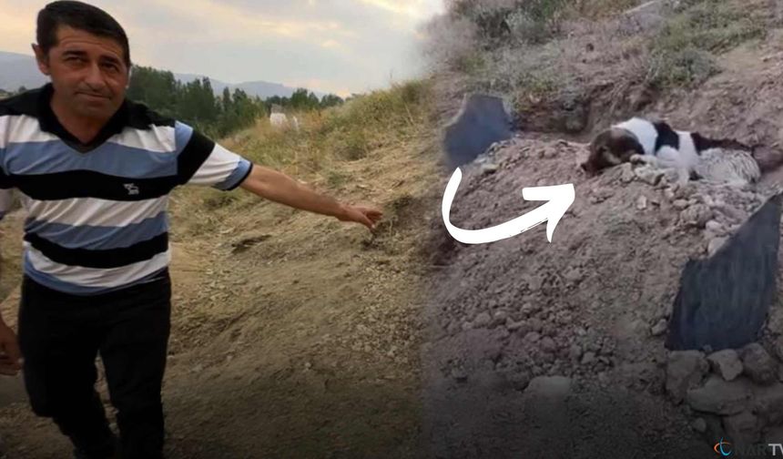Mezar başında vefa nöbeti.