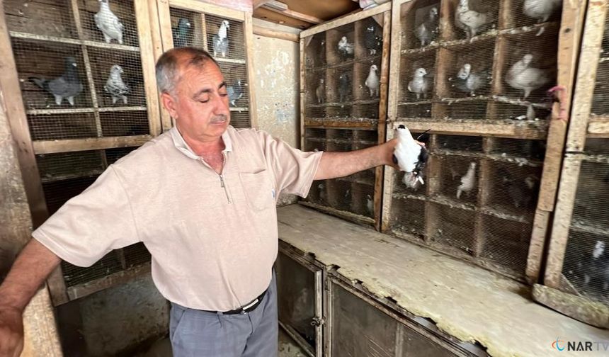 Depremde kuşlarını kaybetti, sevgisinden vazgeçmedi.