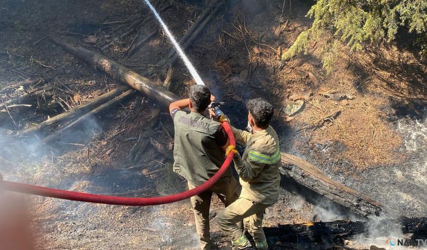 Kahramanmaraş'ta orman yangını devam ediyor.