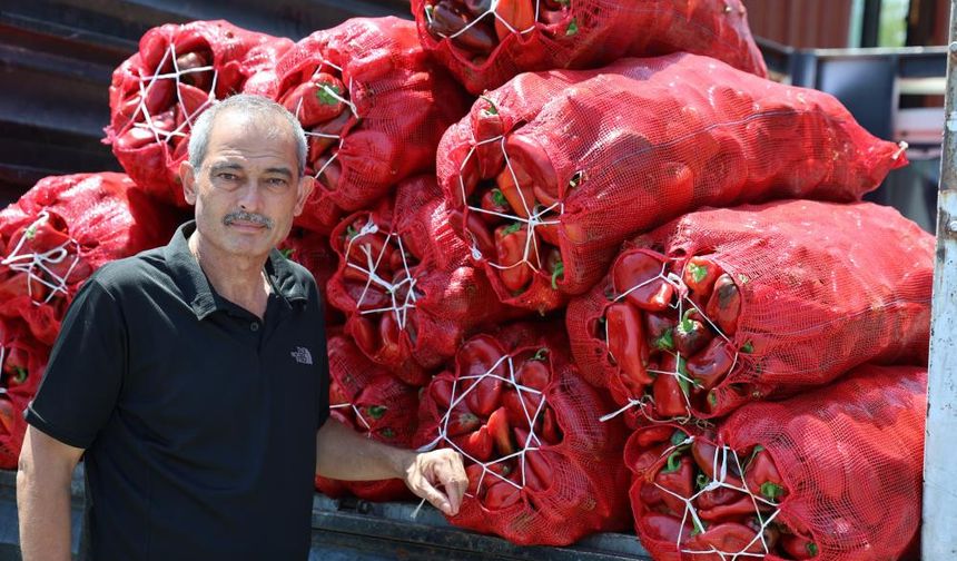 Kahramanmaraş'ta salça telaşı başladı.