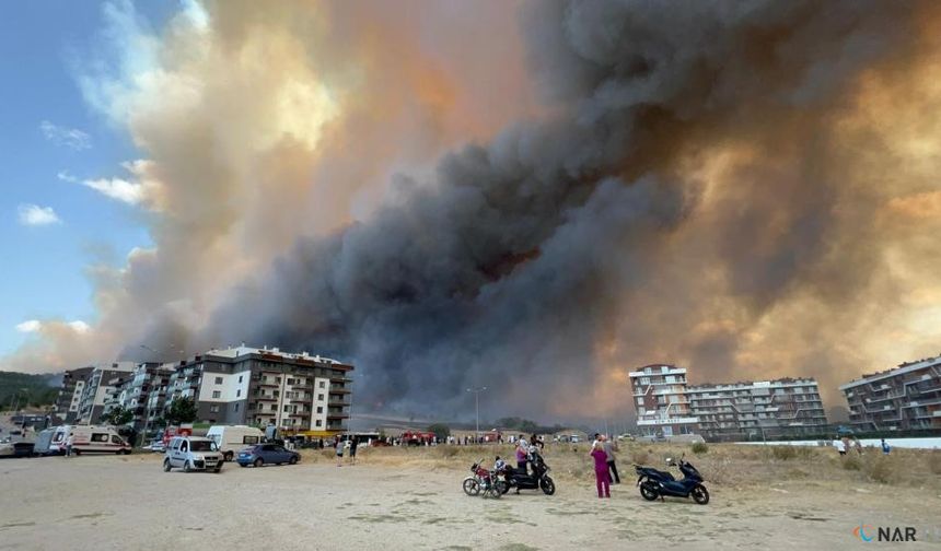 Çanakkale'de orman yangını hastaneye yaklaştı.