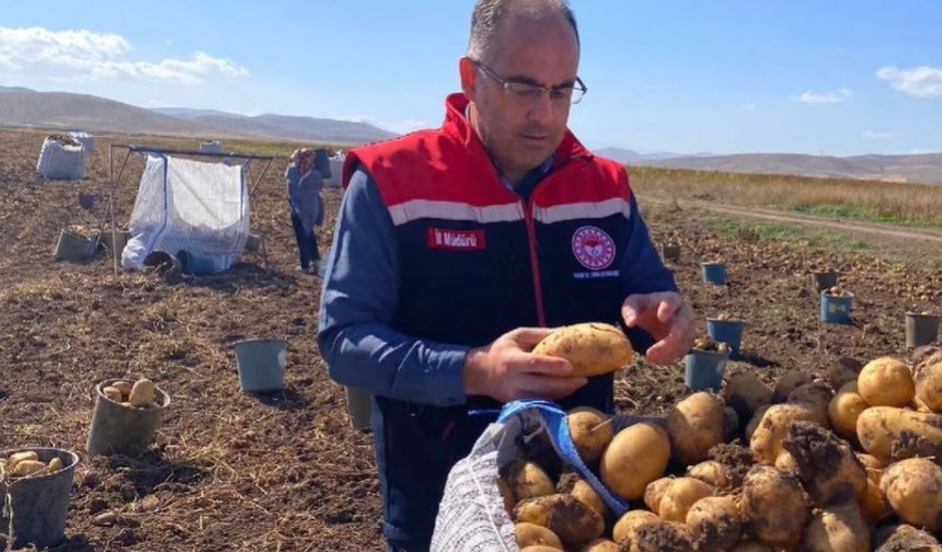 Bayburt’ta patates hasadına başlandı.
