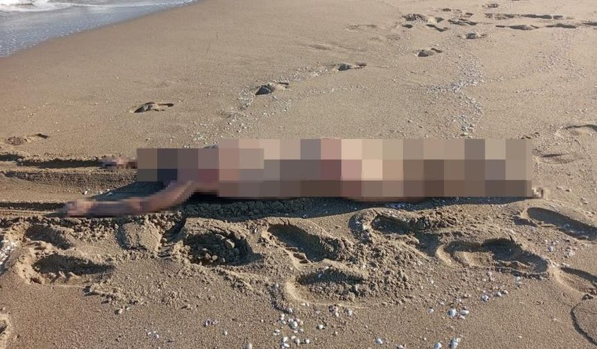 Sakarya’da sahilde çıplak ölü erkek bedeni bulundu.