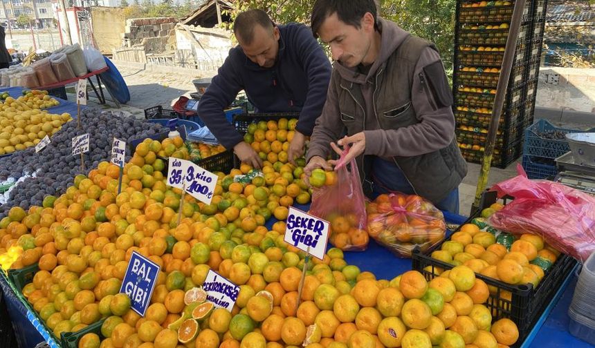 Mandalinanın fiyatı geçen seneye göre yüzde 30 düştü.