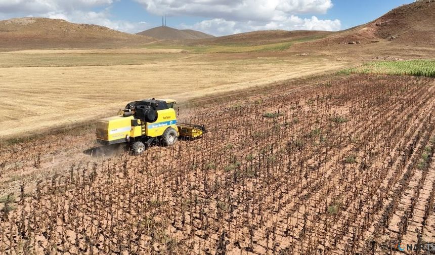 Tarımsal girdi fiyatları belli oldu