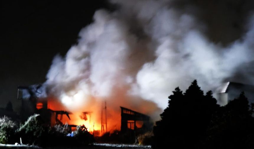 Japonya'daki 7.5'lik depremde yaralı sayısı 50'ye yükseldi