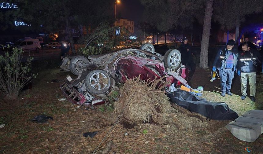 Otomobil, takla atarak çarptığı ağacı kökünden söktü.