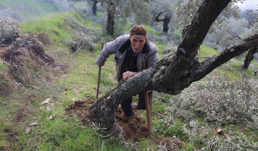 Film sahnesi değil gerçek hayat