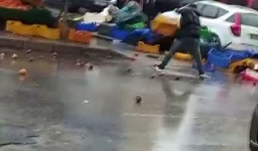 Sinir krizi geçiren manav ortalığı birbirine kattı