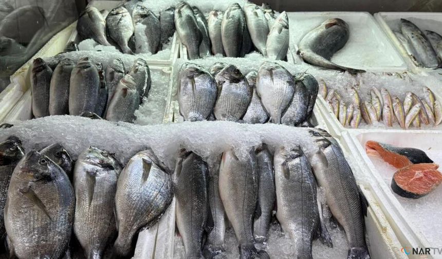 Kahramanmaraş'ta su ürünleri av yasağı resmen başladı