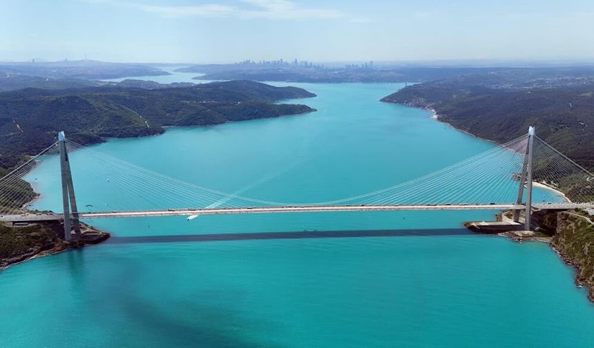 Turkuaza dönen İstanbul boğazında yunuslar akın etti