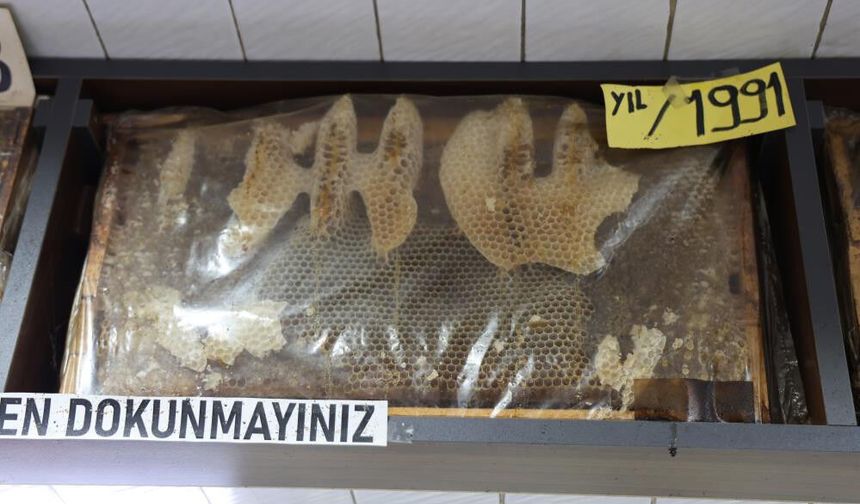 35 Yıllık Bal Çerçeveleri Görenleri Hayrete Düşürüyor