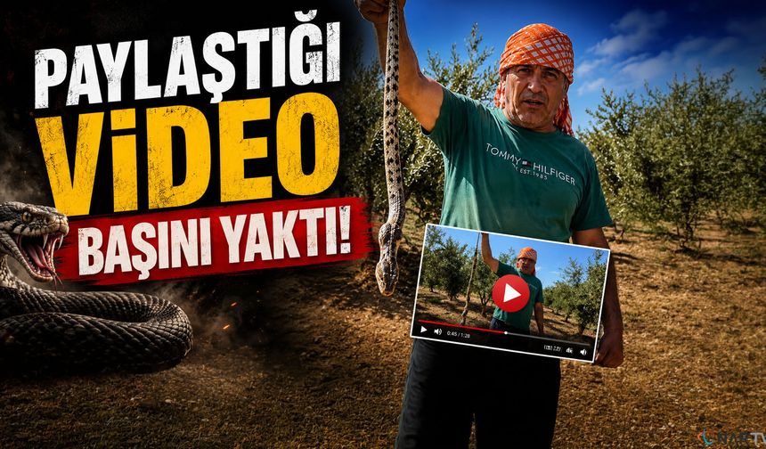 Bir video paylaştı... Fatura ağır kesildi!