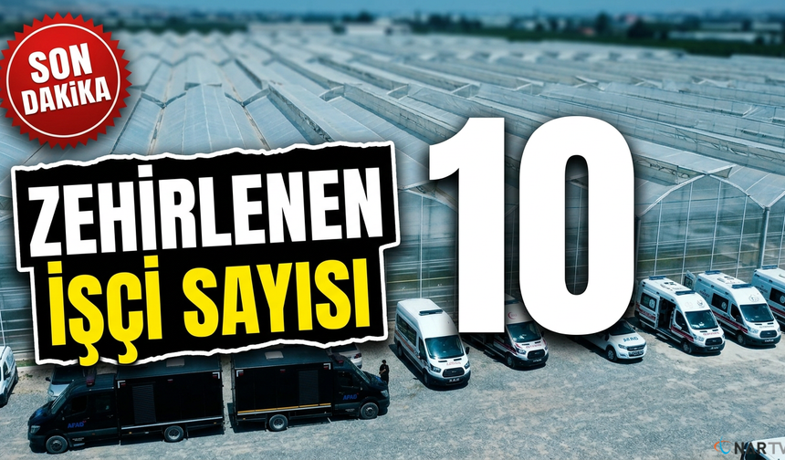 Domates serasında zehirlenme: 10 işçi hastanede