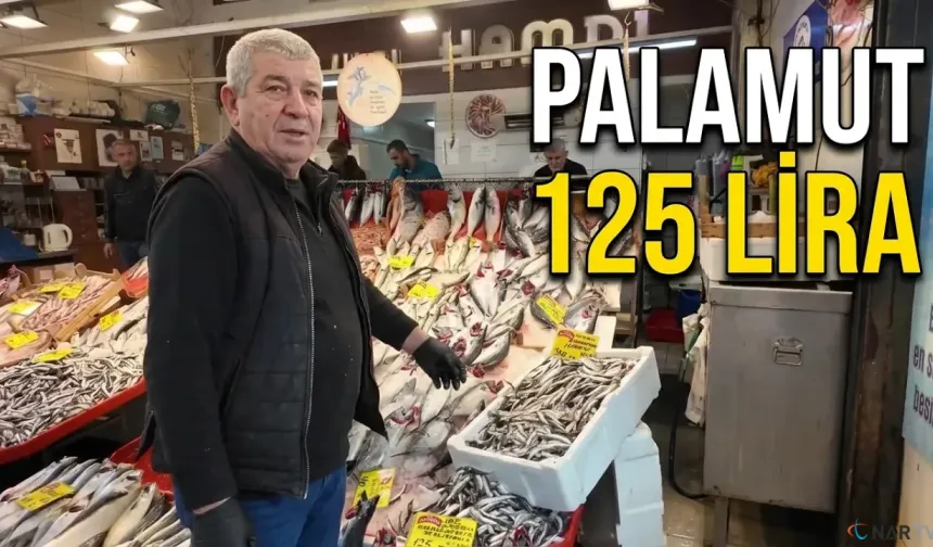 Balıkçıdan çağrı: “Bu sezon büyük fırsat”