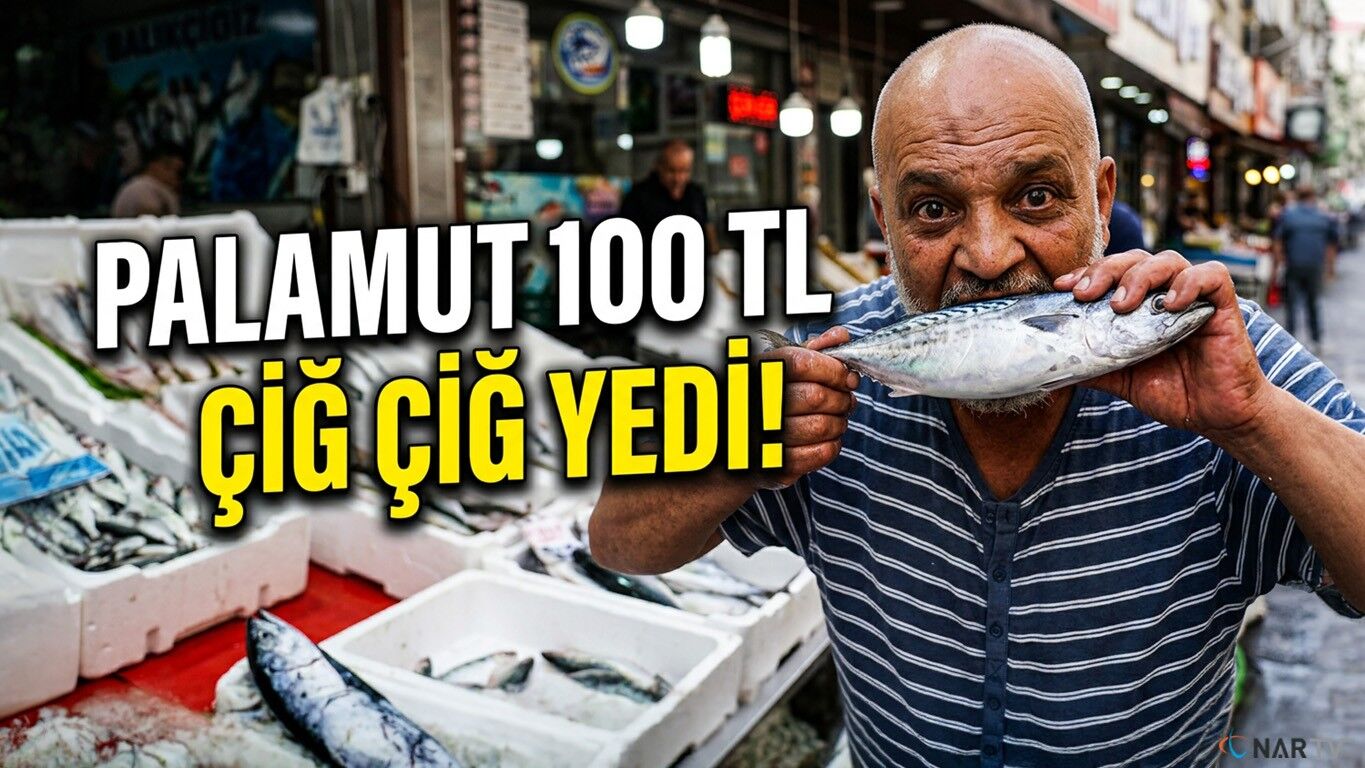 Palamut 100 liraya düştü, balıkçı çiğ çiğ yedi